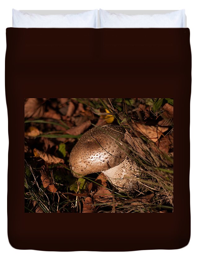 Mushroom Duvet Cover featuring the photograph Wild Mushroom by Miguel Winterpacht