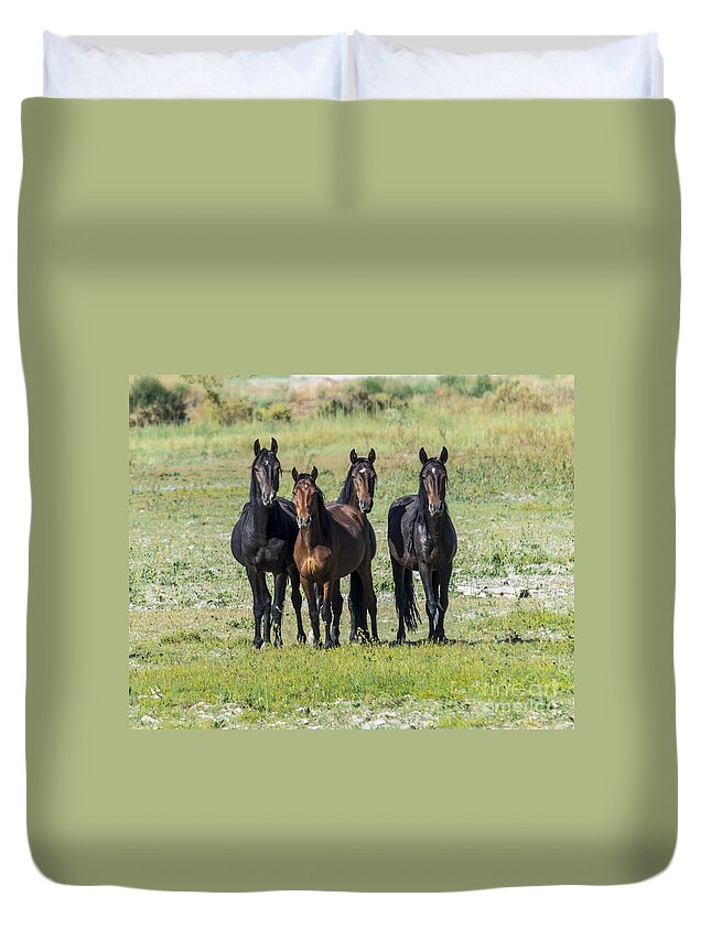 Wild Horses Duvet Cover featuring the photograph Wild Mustang Horses by L J Oakes