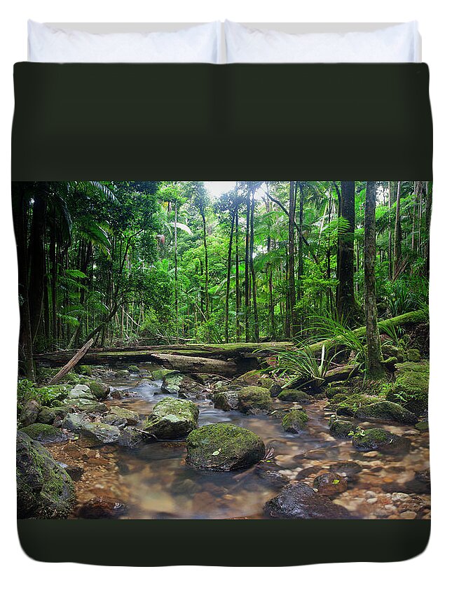 Tropical Rainforest Duvet Cover featuring the photograph Wilderness Rainforest by Davidf
