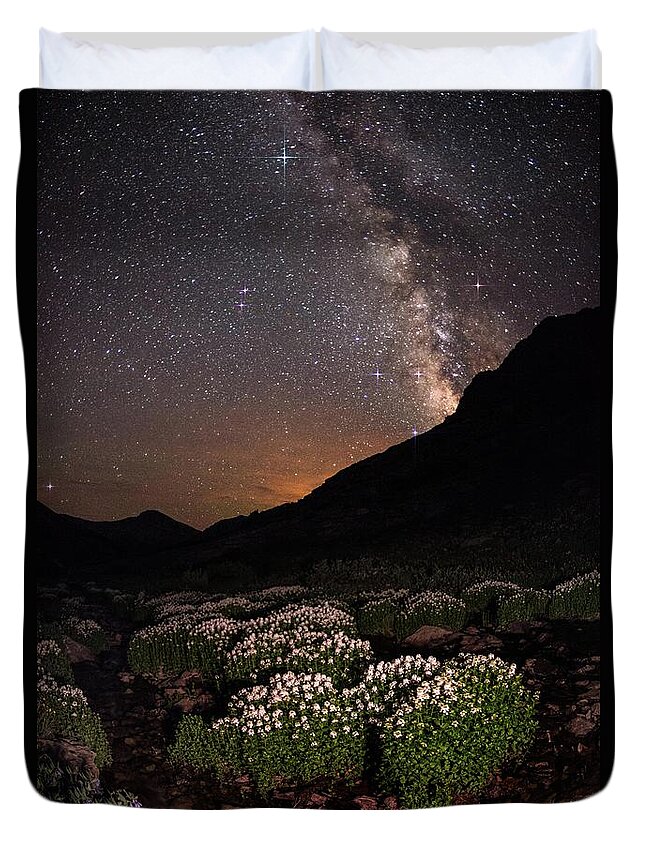 Tranquility Duvet Cover featuring the photograph Wildflower Runoff Under The Stars by Mike Berenson / Colorado Captures