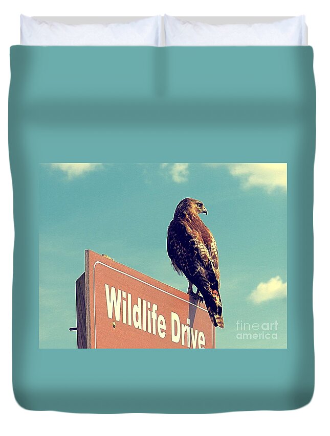 Red Tail Duvet Cover featuring the photograph Wildlife Drive Greeter by Sharon Woerner