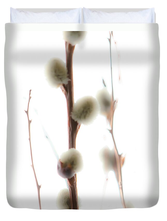 Pussy-willow Duvet Cover featuring the photograph Willow On White by Michael Arend
