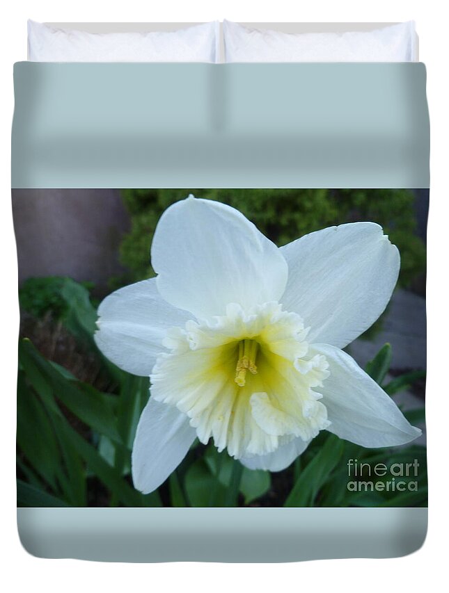 Floral Beauty Duvet Cover featuring the photograph Wings Of An Angel by Lingfai Leung