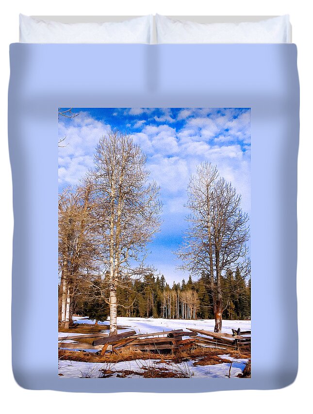 Nature Duvet Cover featuring the photograph Winter Birch by Kathleen Bishop