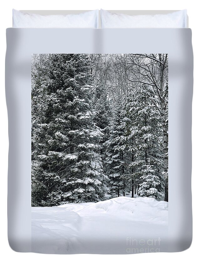 Winter Scene Photo Duvet Cover featuring the photograph Winter Bliss by Gwen Gibson