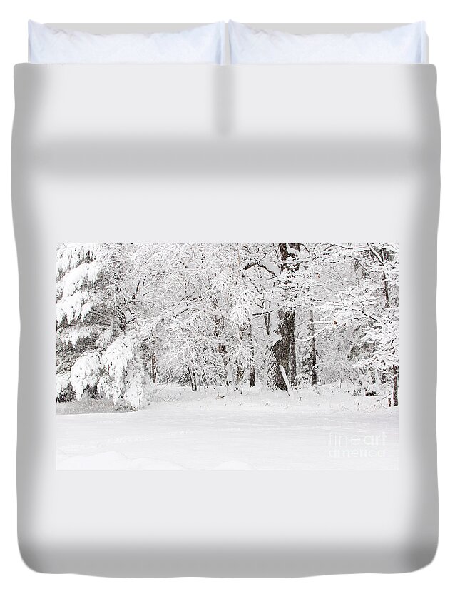 Winter Wonderland Duvet Cover featuring the photograph Winter Canvas by Gwen Gibson