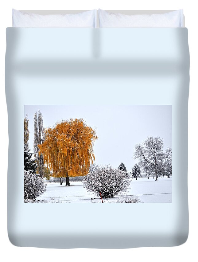 Landscape Duvet Cover featuring the photograph Winter Colors by Mike Helland