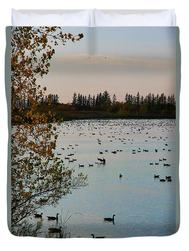  Birds Duvet Cover featuring the photograph Winter Escape Gathering by Teresa Zieba
