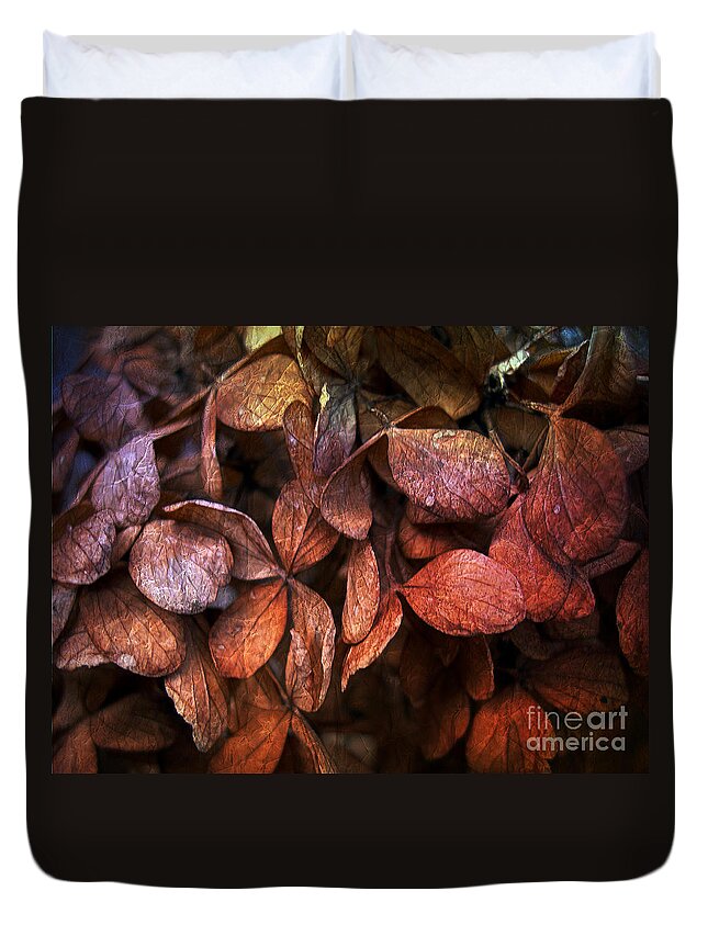 Hydrangeas Duvet Cover featuring the photograph Winter Hydrangeas by Judi Bagwell