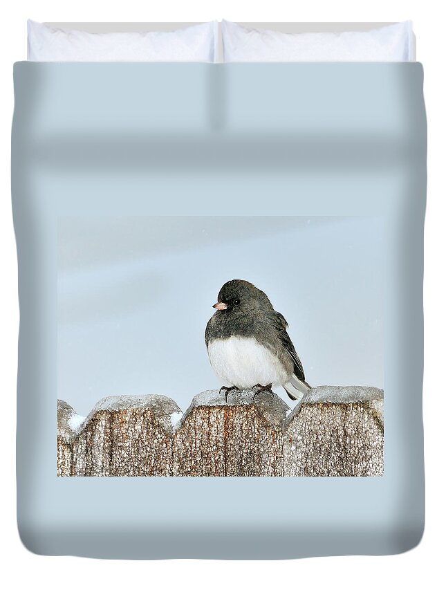 Dark Eyed Junco Duvet Cover featuring the photograph Winter Junco by Betty LaRue