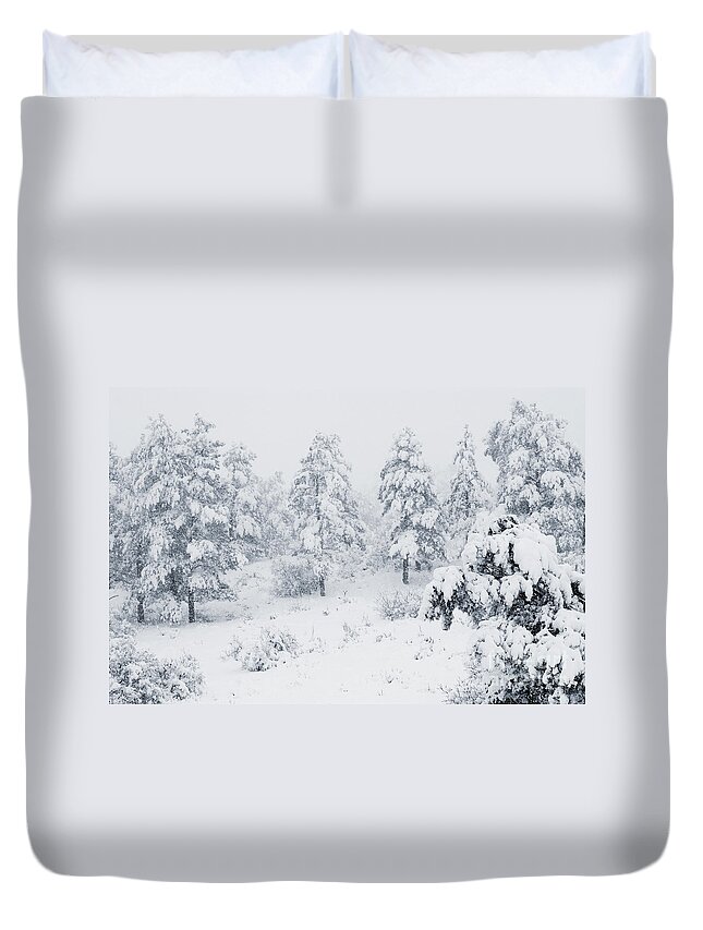 Cold Duvet Cover featuring the photograph Winter Landscapes by Steven Krull