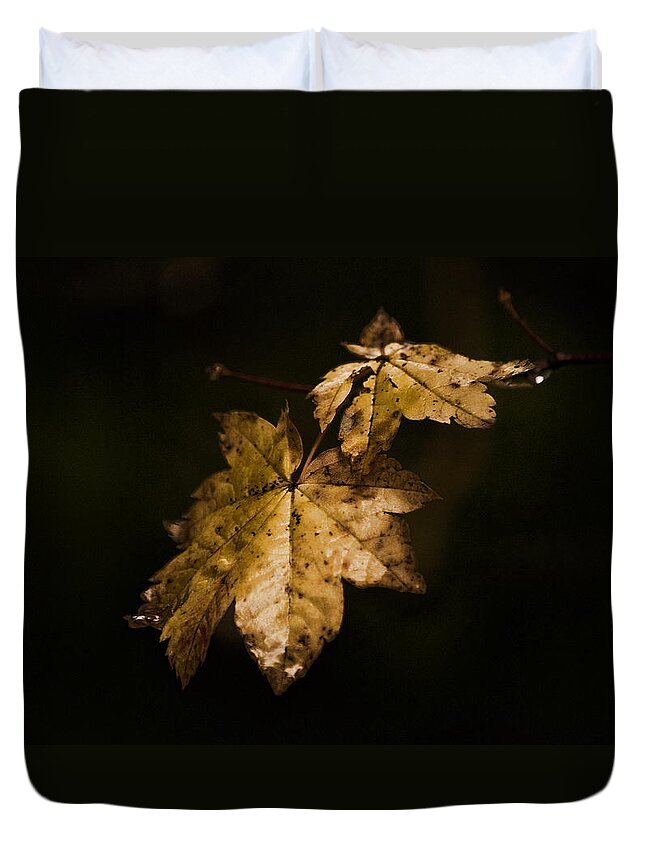 Winter Duvet Cover featuring the photograph Winter Leaves by Ron Roberts