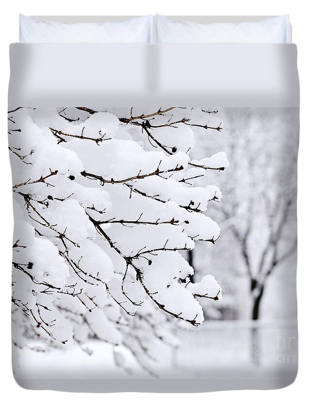 Winter Duvet Cover featuring the photograph Winter park under heavy snow by Elena Elisseeva