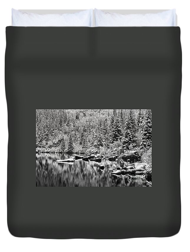 Nature Duvet Cover featuring the photograph Winter Reflection by Steven Reed