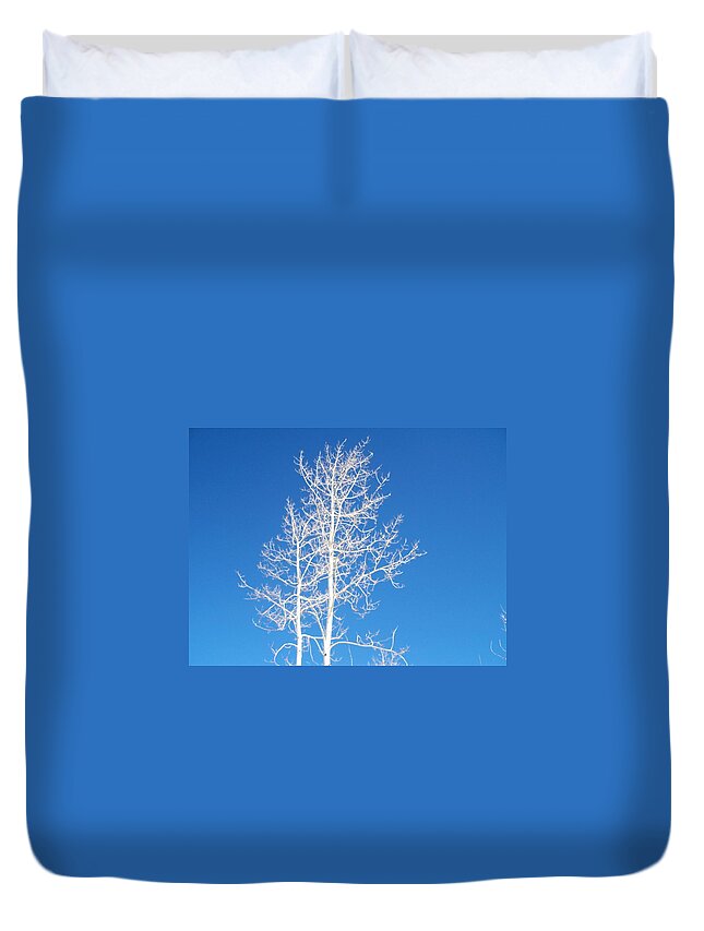 Sky Duvet Cover featuring the photograph Winter Sky by Claudia Goodell