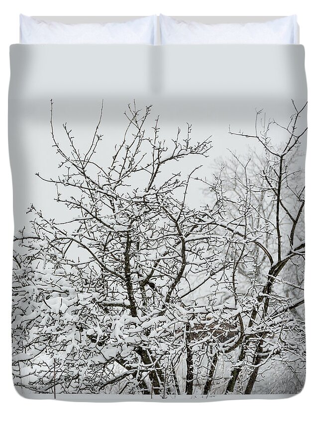 Winter Duvet Cover featuring the photograph Winter Snow by Holden The Moment
