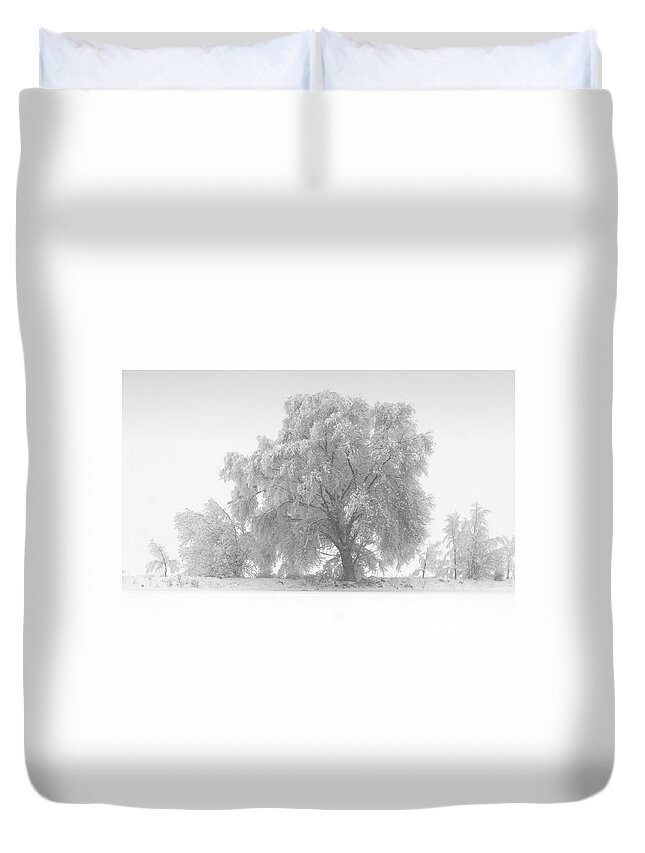 Black And White Duvet Cover featuring the photograph Winter Tree by David Andersen