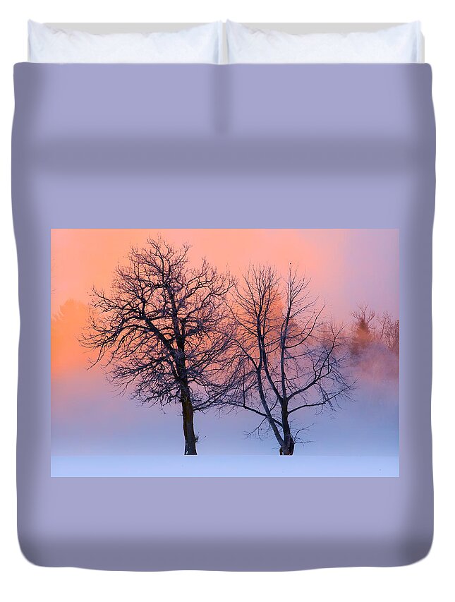 Blue Hour Duvet Cover featuring the photograph Winter Trees by Jakub Sisak