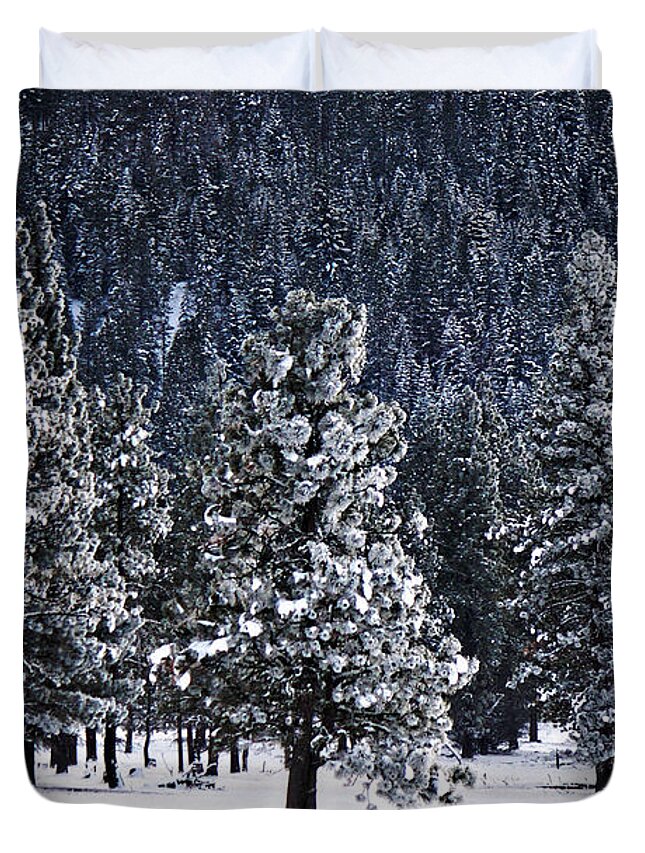 Canon Duvet Cover featuring the photograph Winter Wonderland by Melanie Lankford Photography