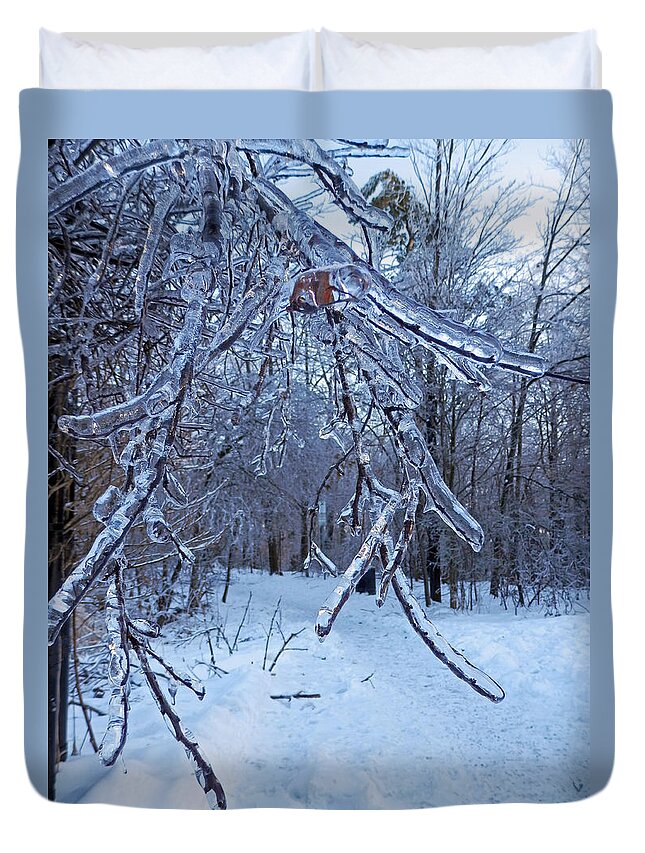 Winter Duvet Cover featuring the photograph Winter's Day by Pema Hou