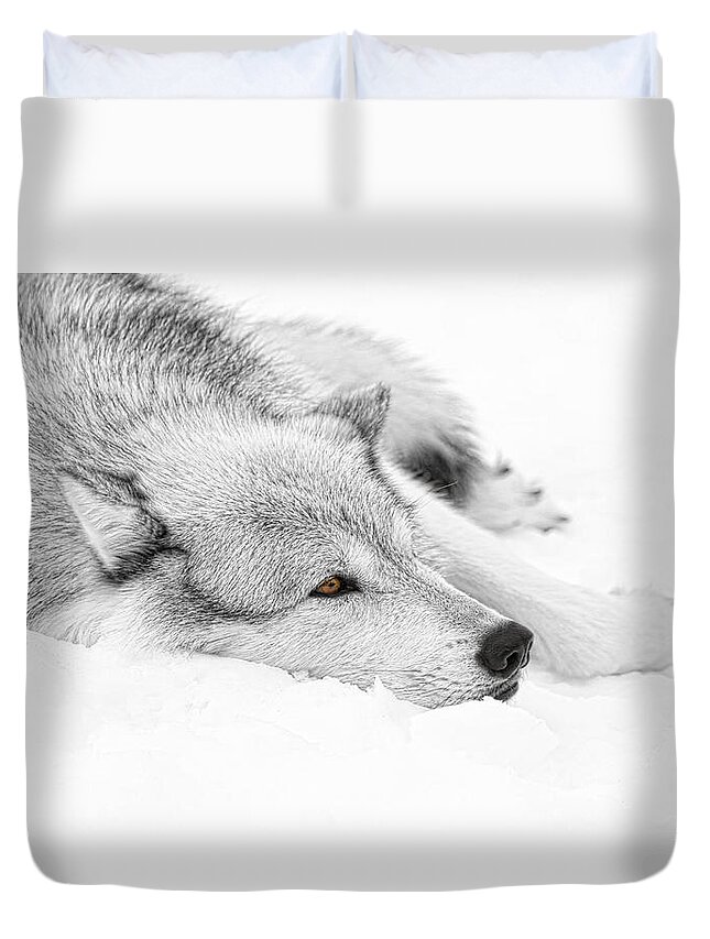 Wolf Duvet Cover featuring the photograph Winters Wolf by Steve McKinzie