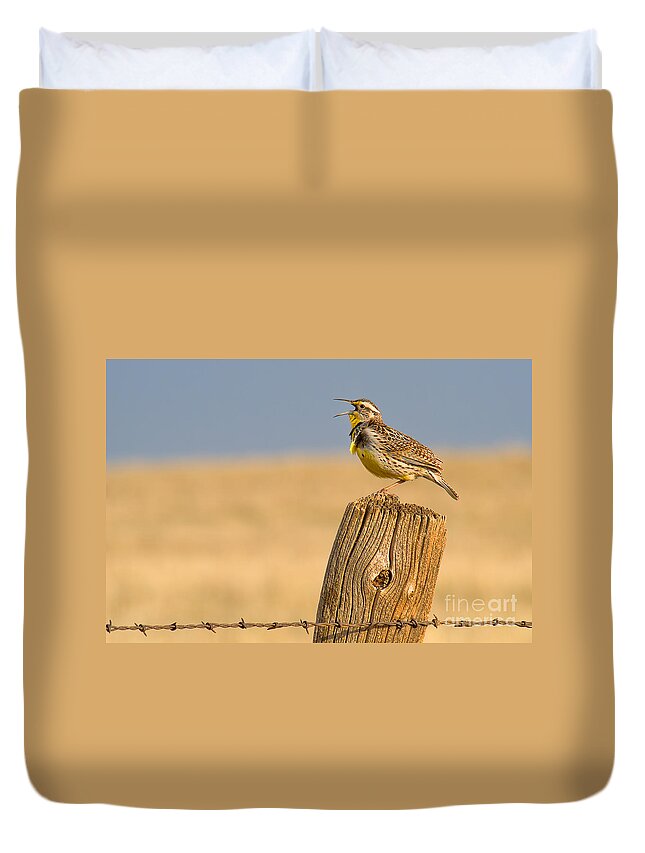 Meadowlark Duvet Cover featuring the photograph With a Song in My Heart by Jim Garrison
