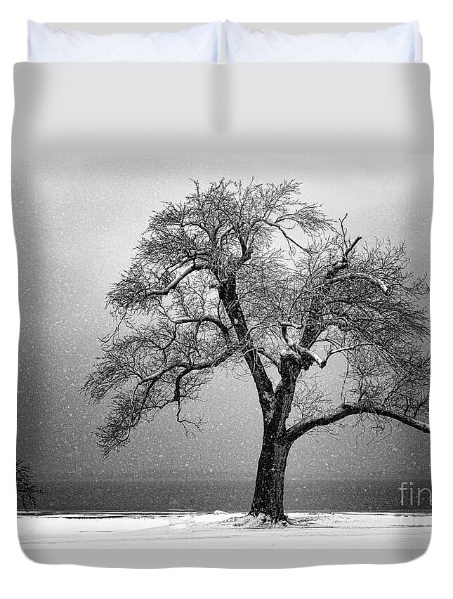 Tree Duvet Cover featuring the photograph Withstanding by Betty LaRue