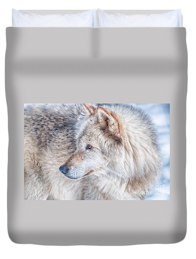 Timberwolf Duvet Cover featuring the photograph Wolf in Disguise by Bianca Nadeau