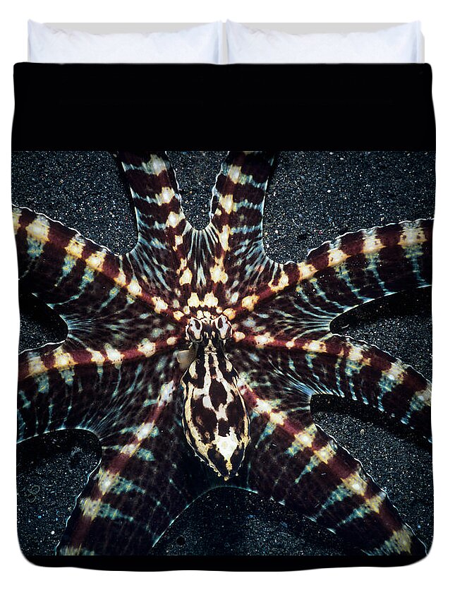 Underwater Duvet Cover featuring the photograph Wonderpus Octopus by Jeff Rotman