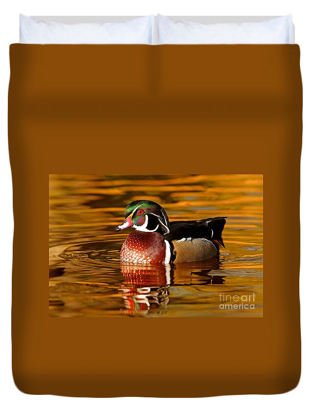 Wood-duck Duvet Cover featuring the photograph Wood-drake on the golden light by Mircea Costina Photography