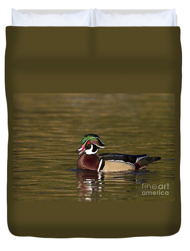 Wood Duck Duvet Cover featuring the photograph Wood duck calling by Bryan Keil