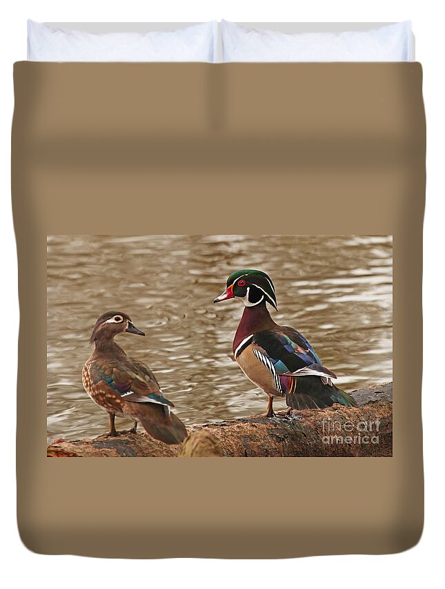 Wood Duck Photos Duvet Cover featuring the photograph Wood Duck Photo by Luana K Perez