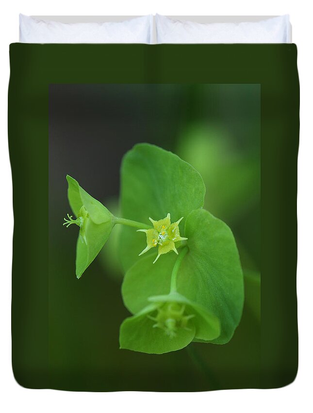Wood Spurge Duvet Cover featuring the photograph Wood Spurge by Daniel Reed