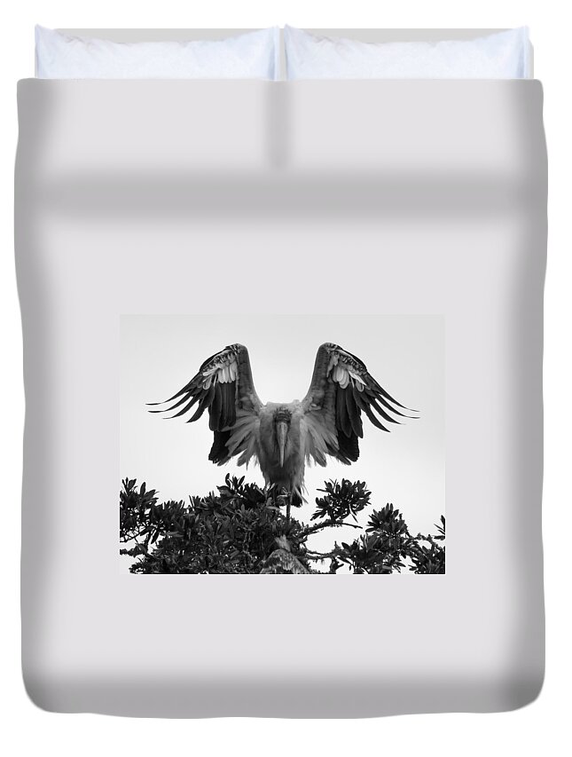 Wood Stork Duvet Cover featuring the photograph Wood Stork Spread by Patricia Schaefer