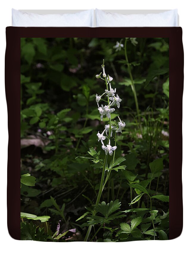 Larkspur Duvet Cover featuring the photograph Woodland Larkspur by Michael Dougherty