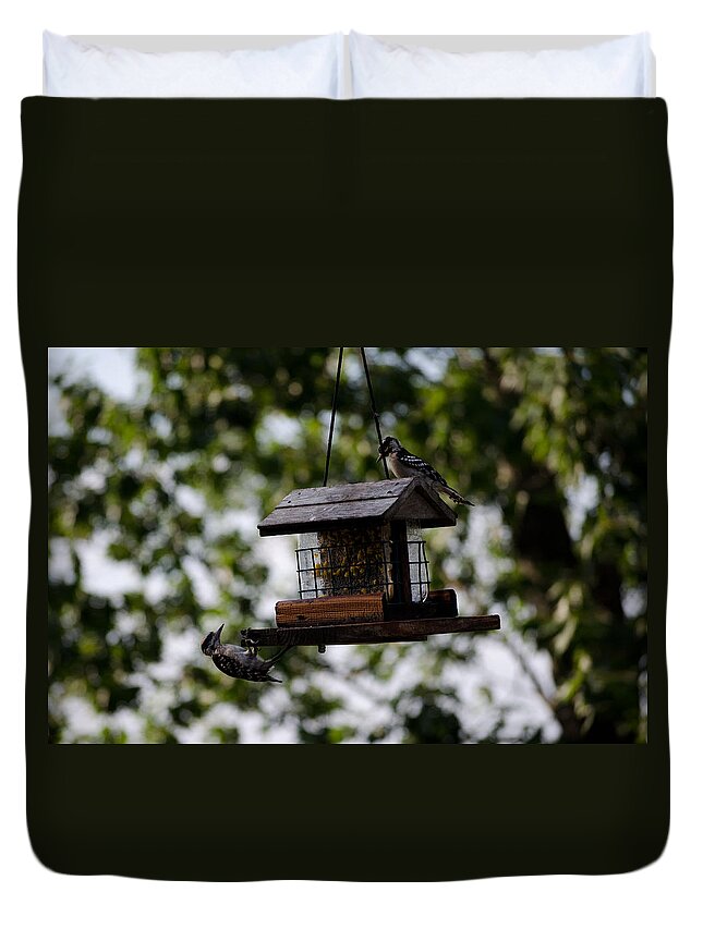 Woodpecker Duvet Cover featuring the photograph Woodpeckers at Dinner by Jim Shackett
