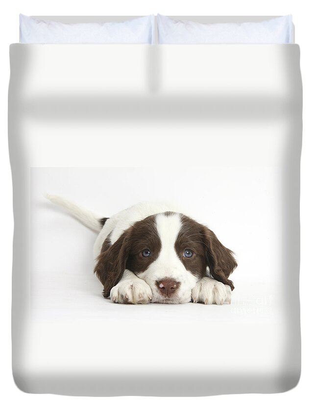 Working English Springer Spaniel Puppy Duvet Cover featuring the photograph Working English Springer Spaniel Puppy by Mark Taylor