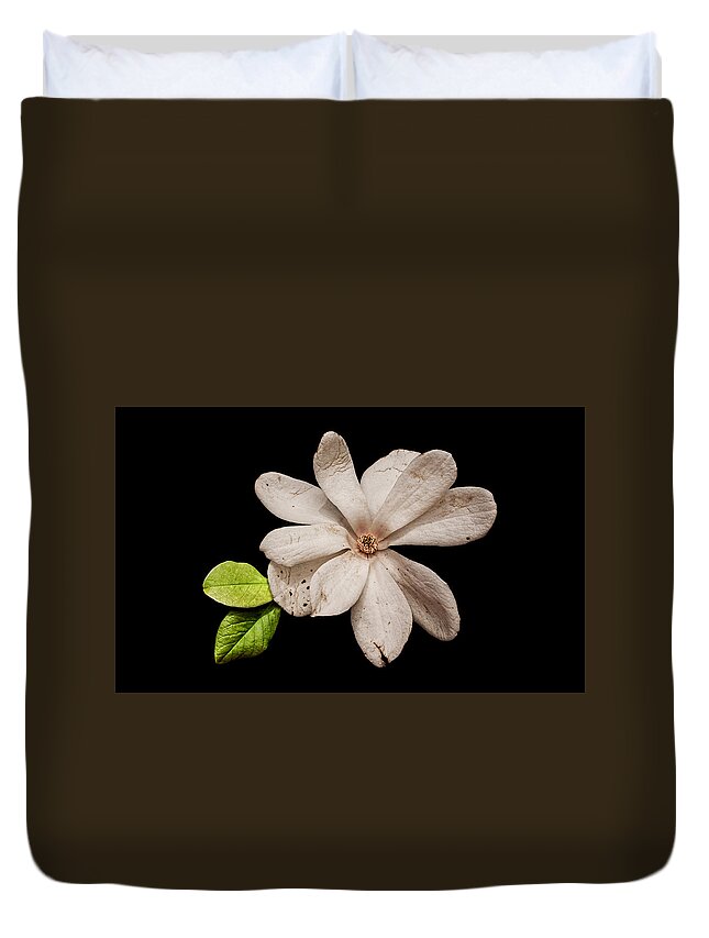 Wounded White Magnolia Duvet Cover featuring the photograph Wounded White Magnolia Wide Version by Weston Westmoreland