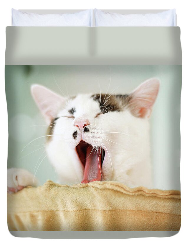 Pets Duvet Cover featuring the photograph Yawning Cat by Yurif