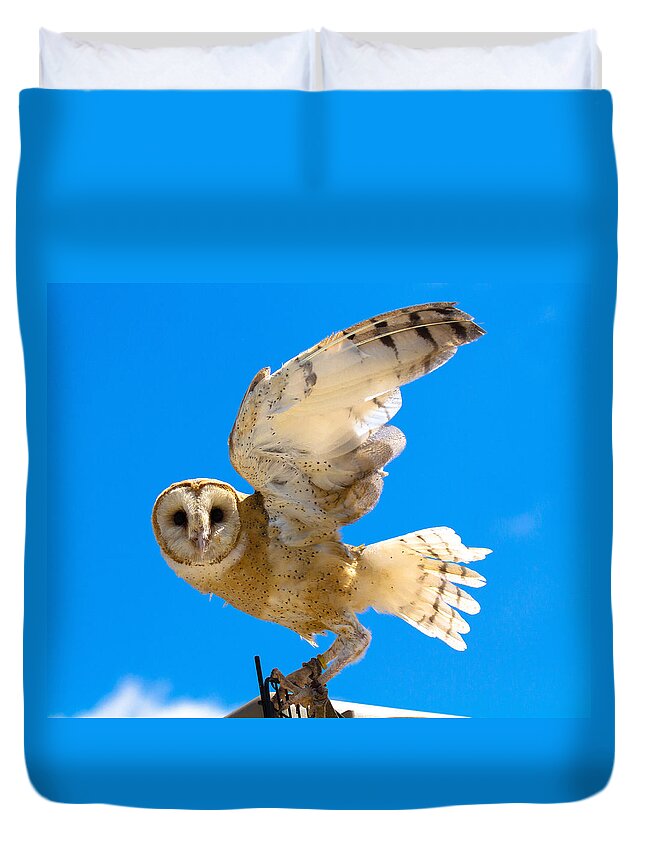 Barn Owl Duvet Cover featuring the photograph Yay No Barn Today by Robert L Jackson