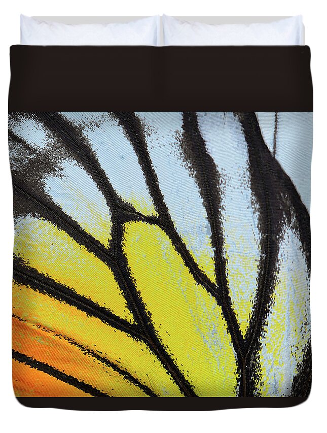 Orange Color Duvet Cover featuring the photograph Yellow And Orange Butterfly Wing by Panuruangjan