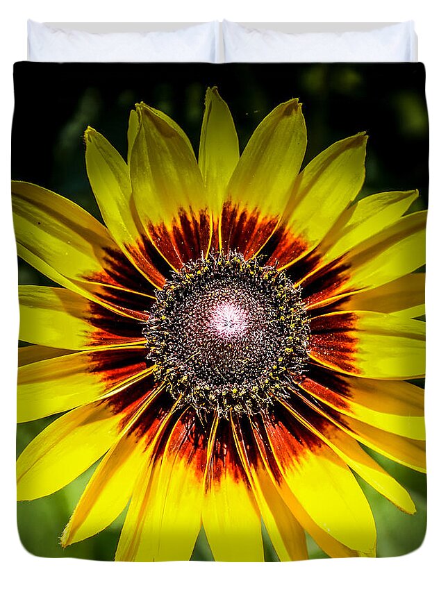 Yellow Duvet Cover featuring the photograph Yellow and Rust by Ronald Grogan