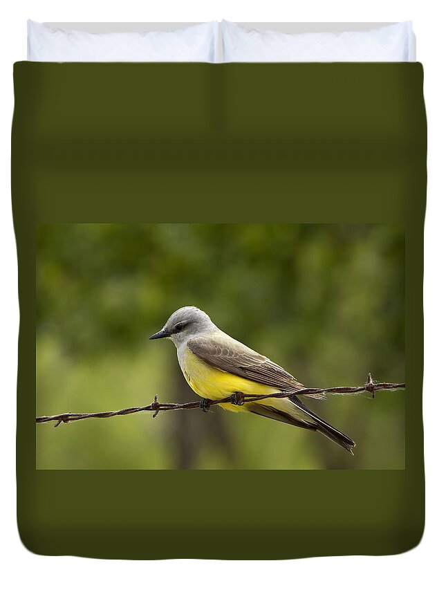 Yellow Duvet Cover featuring the photograph Yellow-Bellied Fence-Sitter by Gary Holmes