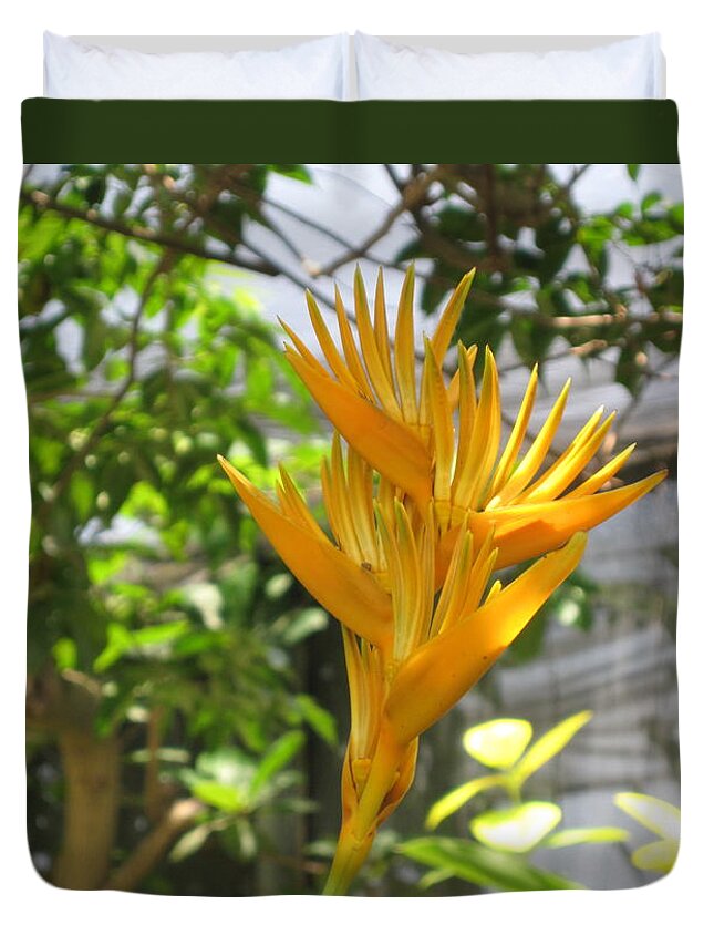 Yellow Bird Of Paradise Duvet Cover featuring the photograph Yellow Bird of Paradise by HEVi FineArt