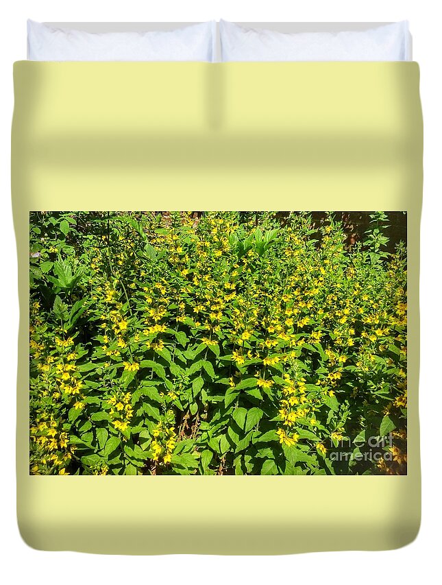 Yellow Blossoms Duvet Cover featuring the photograph Yellow Blossoms by Joan-Violet Stretch