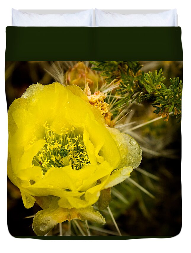  Duvet Cover featuring the photograph Yellow Cactus Flower by James Gay