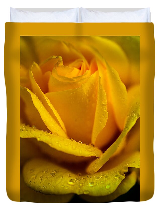 Rose Duvet Cover featuring the photograph Yellow Garden Queen. Yellow Rose by Jenny Rainbow