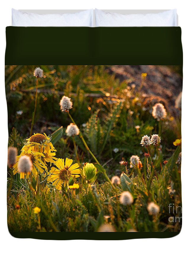 Golden Hour Duvet Cover featuring the photograph Yellow Gold by Jim Garrison