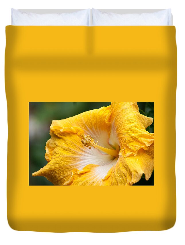Nature Duvet Cover featuring the photograph Yellow Hibiscus by Michael Porchik