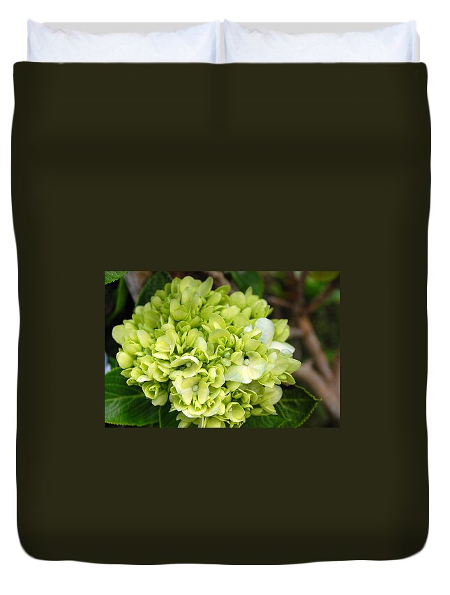 Flower Duvet Cover featuring the photograph Yellow Hydrangeas by Amy Fose